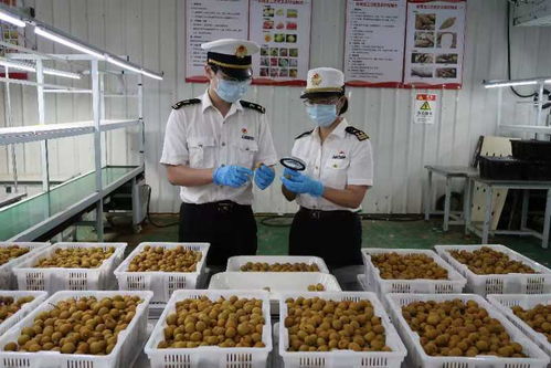 佛山海關(guān)深化服務(wù)家用電器企業(yè)長(zhǎng)效機(jī)制 助力產(chǎn)業(yè)高質(zhì)量發(fā)展