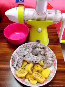 果語榨汁機(jī)廠家直銷 享受正品批發(fā)價(jià)格，輕松制作健康蔬菜汁