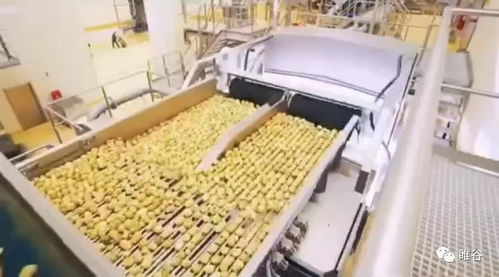 佳盛企智深加工共享工廠 創(chuàng)新農(nóng)產(chǎn)品生產(chǎn)模式，助力蔬菜產(chǎn)業(yè)升級(jí)