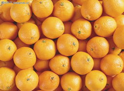 蔬果特寫0169 鏡頭下的自然饋贈，與色彩的味覺遐想