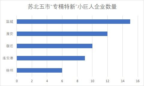 蘇北五市52家“小巨人”入選國家隊，化工賽道彰顯江蘇制造業韌性優勢